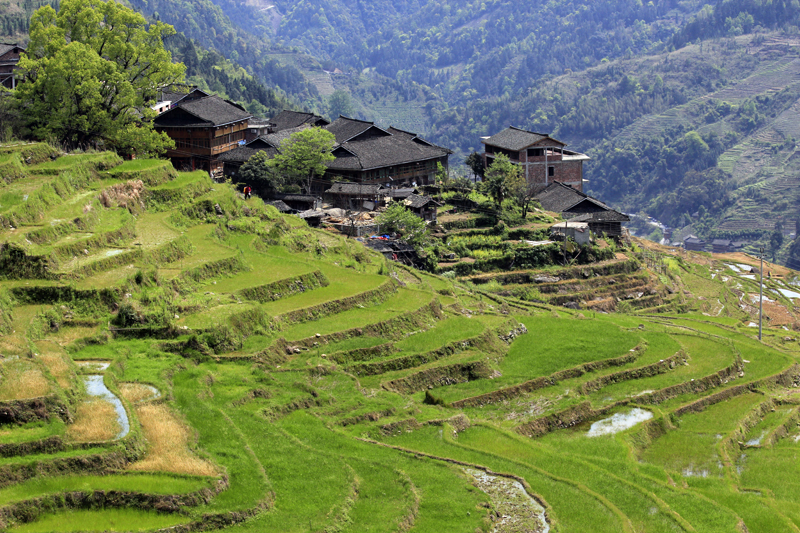 2017-04-12_111855 china-2017.jpg - Longsheng - Pingan - Reisterassen